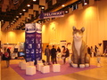 Ceva no Congresso Hospital Veterinário Montenegro 2012